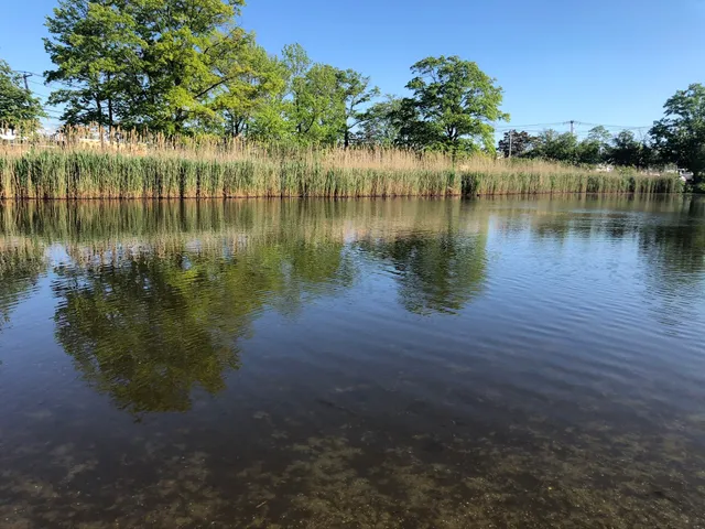 Tackapausha Nature Preserve