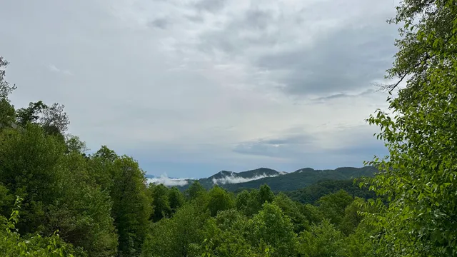 Sri Somesvara Temple - Cafeteria
