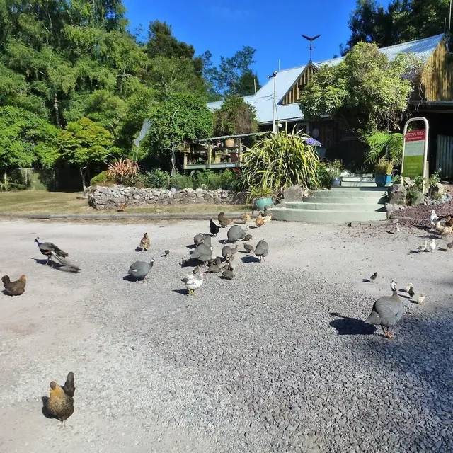 Wairakei Thermal Valley