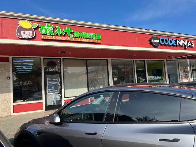 Little Seven Special Soup w/Rice (酸小七贵州酸汤鱼）