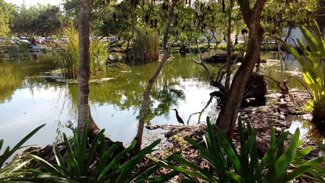 LONCHERÍA DEL CARIBE