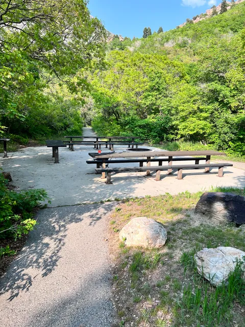 Dogwood Picnic Area