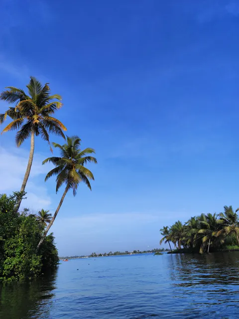 Alleppey Backwaters