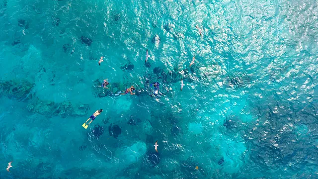 Stingray Beach Cozumel