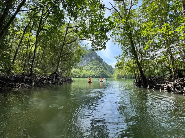 Xtreme Langkawi Mangrove Kayaking