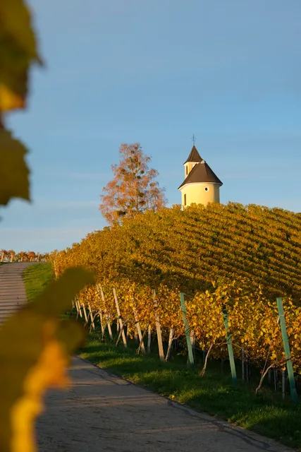 Weingut & Winzer-Appartements Kogler