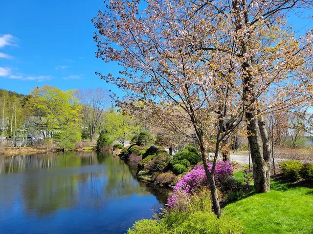 Asticou Azalea Garden Parking