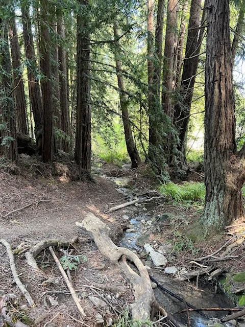 Spring Trail Trailhead