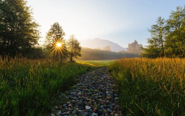 Youth & Vitality Weight Loss Center