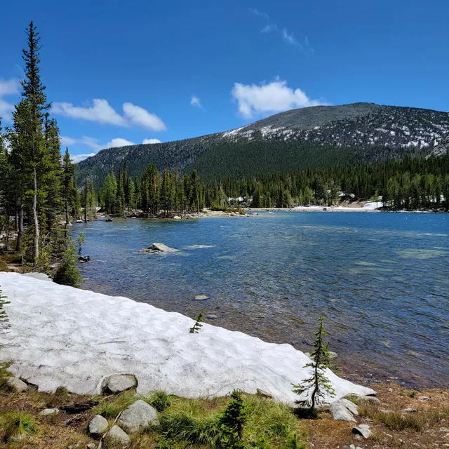 Beaverhead-Deerlodge National Forest
