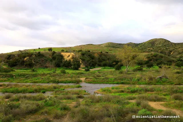 Irvine Regional East Trails