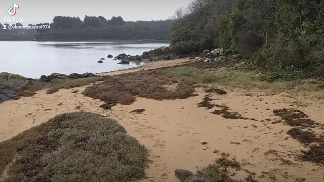 Maison de Pors Guyon - Les pieds dans l'eau