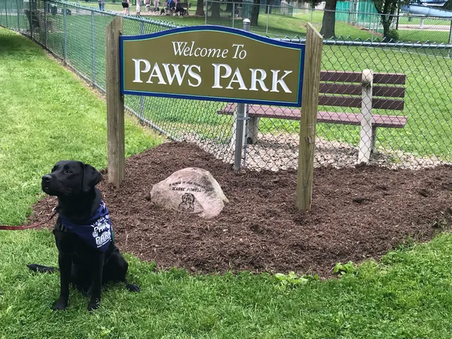 South Williamsport Dog Park