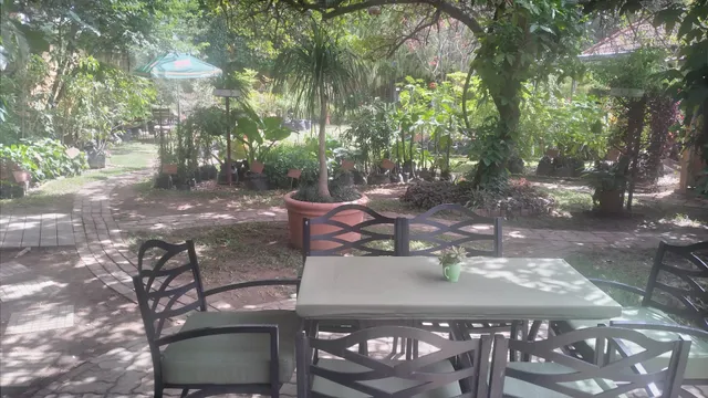 The Garden Café & Buddha Bar