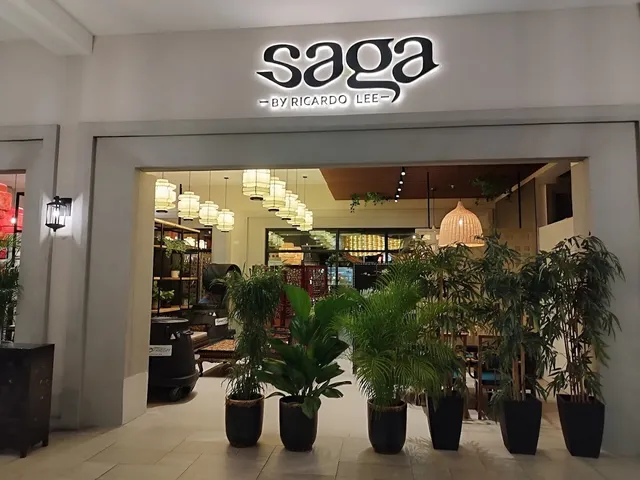 Saga by Ricardo Lee
