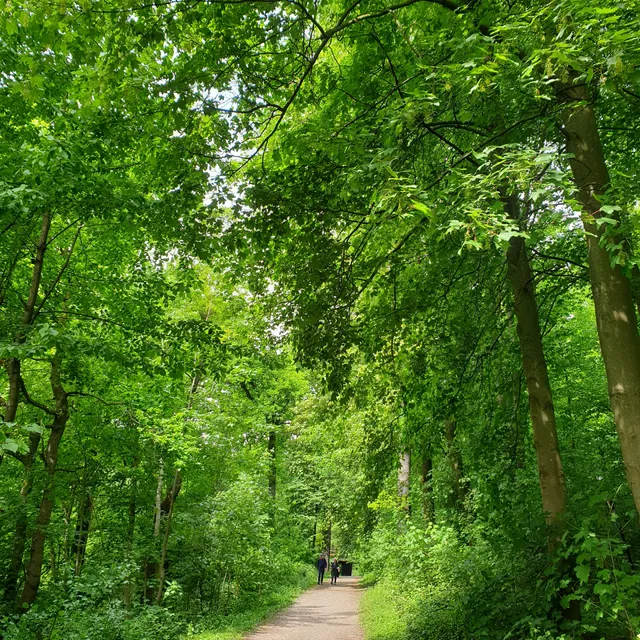 Eickenscheidter Busch