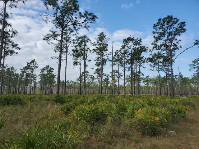 Three Lakes Wildlife Management Area