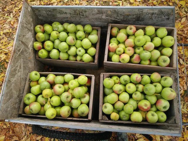 Cole's Orchard, LLC, Organic