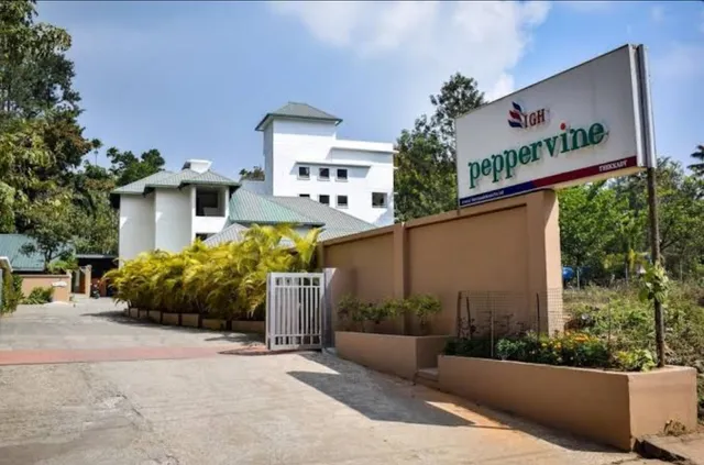 Hotel PepperVine Thekkady