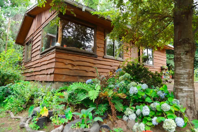 Cabañas Refugio Pucura, Coñaripe