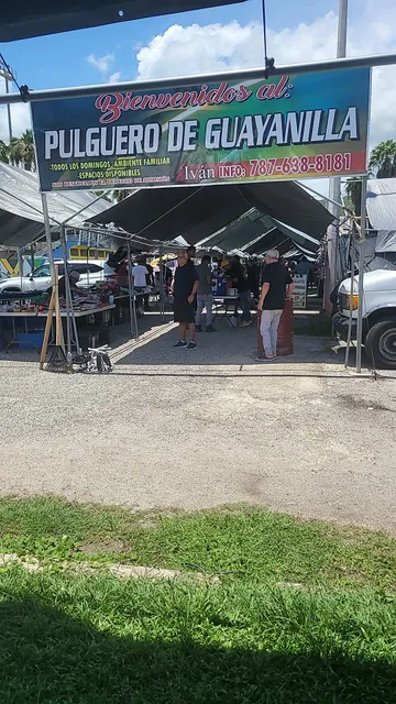 Pulguero Guayanilla