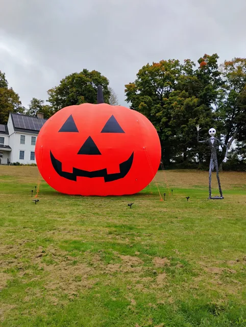 Liquor Wine Discount