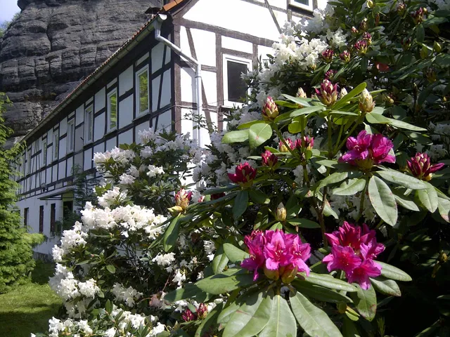 Ferienwohnungen "Felsenkeller Bielatal"