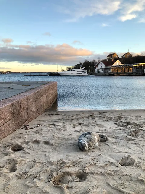 Kristiansand Beach