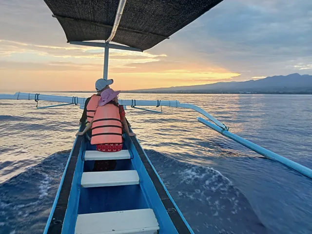 Dolphin Watching Lovina