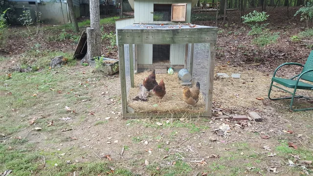 North Forest Hills Park picnic shelter