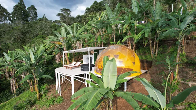 Bajo el Cielo Glamping