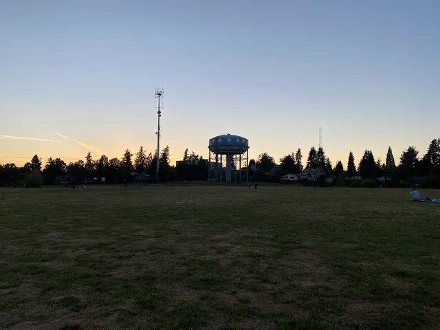 Maple Leaf Park Pickleball Courts