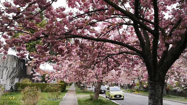 West End Community Centre