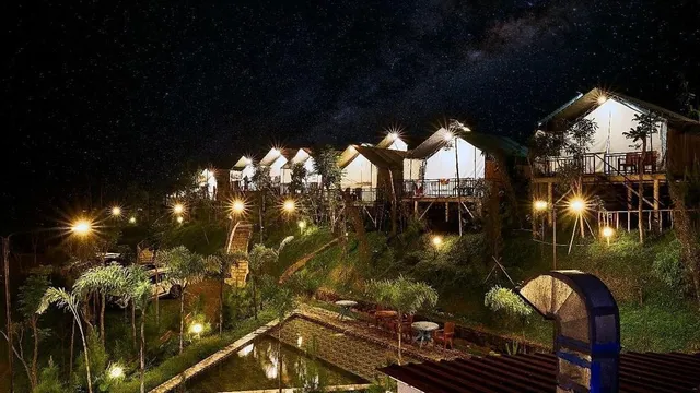 Miracle Dgyp Signature