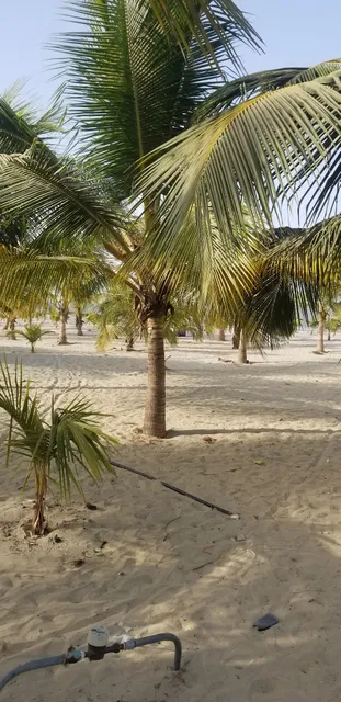 Mike's Black and White Cafe