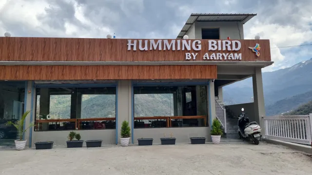 Humming Bird By Aaryam