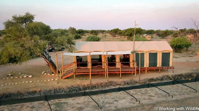 Working with Wildlife