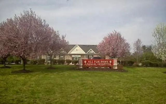 All Fur Paws Animal Hospital