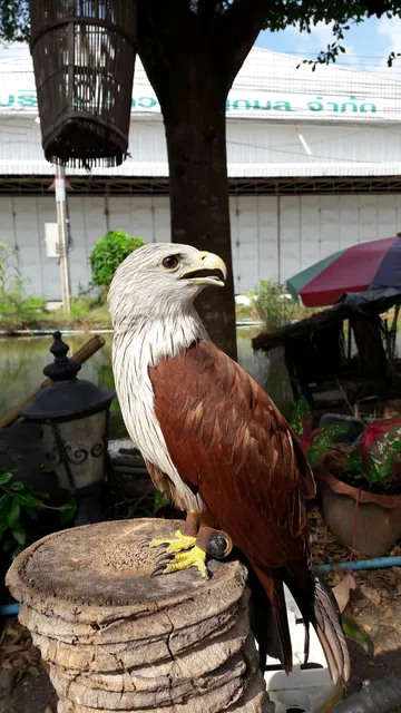 มุกแอนด์อาร์มรีสอร์ท