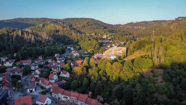 Harzverbunden Waldquartier