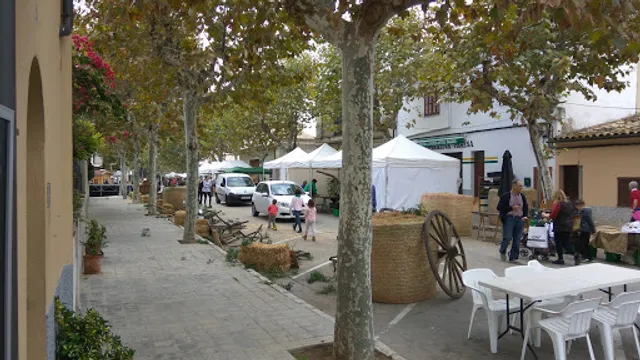 El Perrito Pont Roma | Pollensa