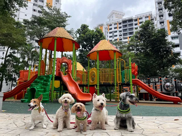 Urban Paws Jurong East
