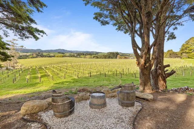 Matakana Estate