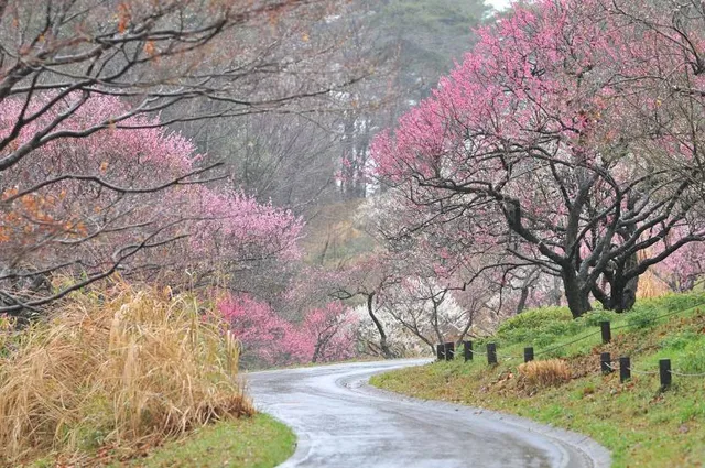 Musashi Kyuryo National Government Park