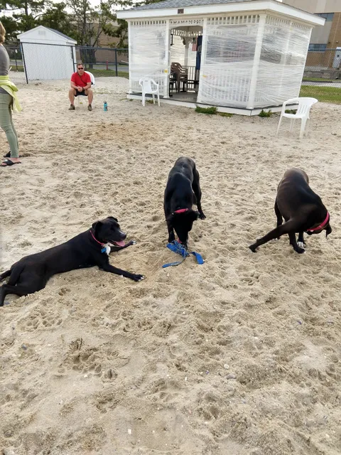 Ocean City Dog Park