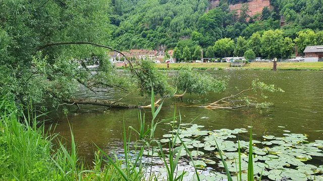 Mainufer Miltenberg