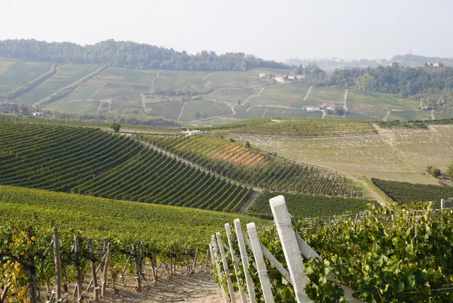 Cascina Gabutti Bussia