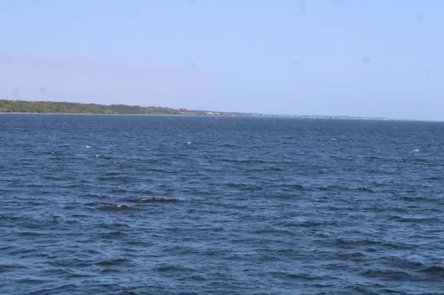 Bob Sikes fishing bridge