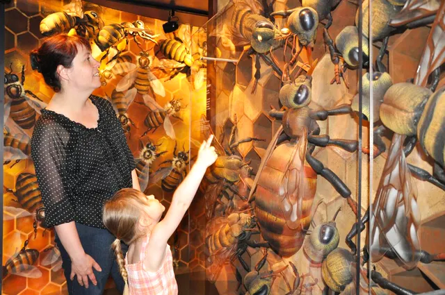 Miellerie Lune de Miel