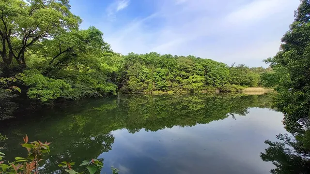 Hachiryu Ryokuchi Park
